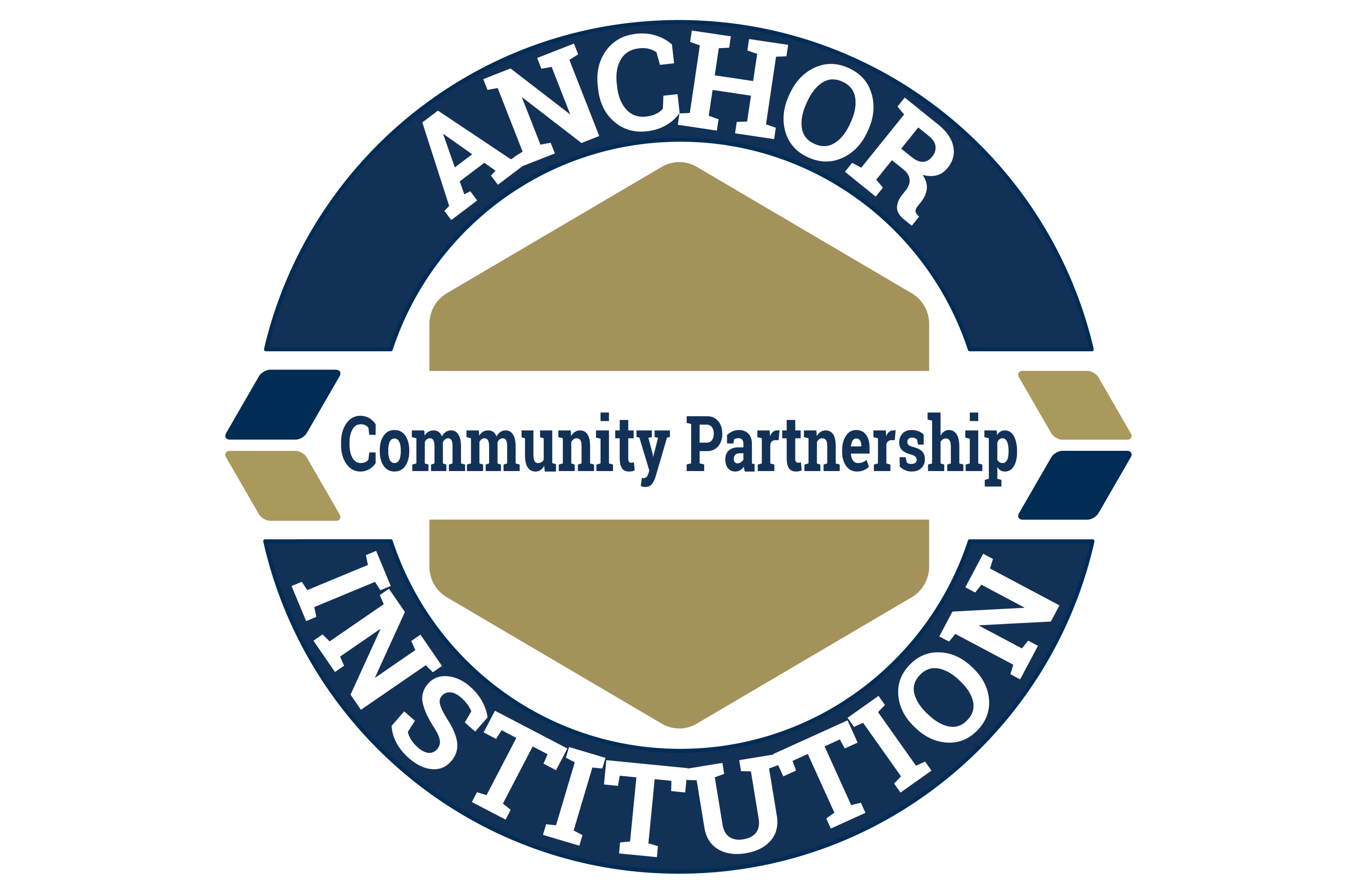 Anchor Institution logo